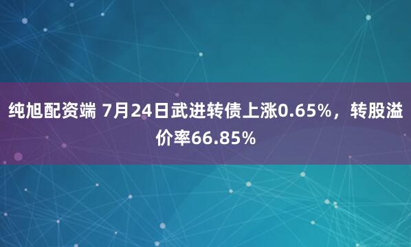 纯旭配资端 7月24日武进转债上涨0.65%，转股溢价率66.85%