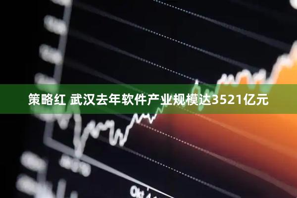 策略红 武汉去年软件产业规模达3521亿元