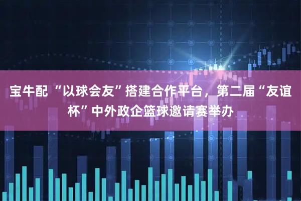 宝牛配 “以球会友”搭建合作平台，第二届“友谊杯”中外政企篮球邀请赛举办